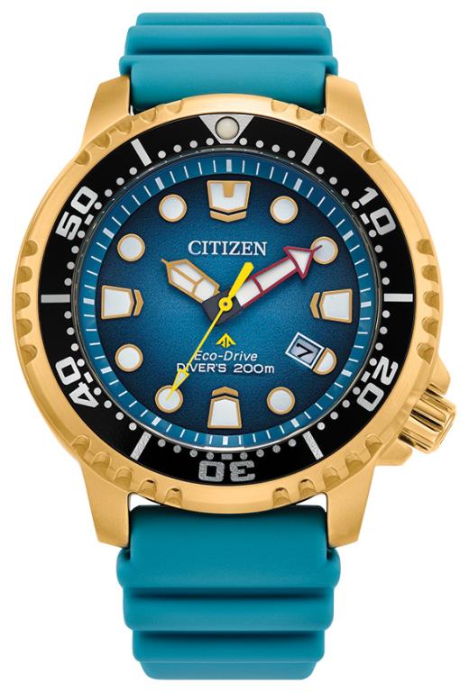 Citizen Unisex Dive Watch