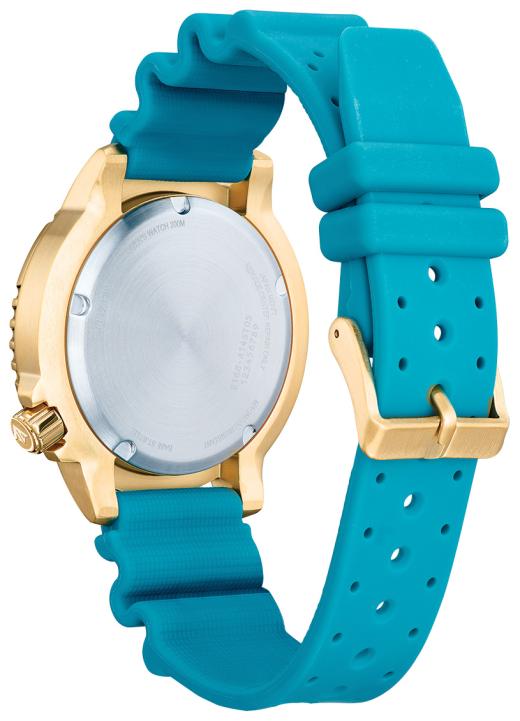 Citizen Unisex Dive Watch
